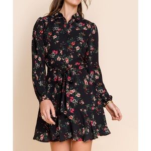 NWT Francesca’s Trixxi Button Front Godet Mini Dress